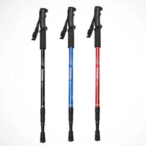 Baston Trekking Ajustable