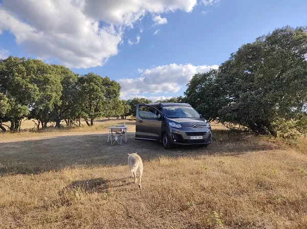 Furgoneta camper de alquiler Citroen Jumpy Pacific - Imagen 5