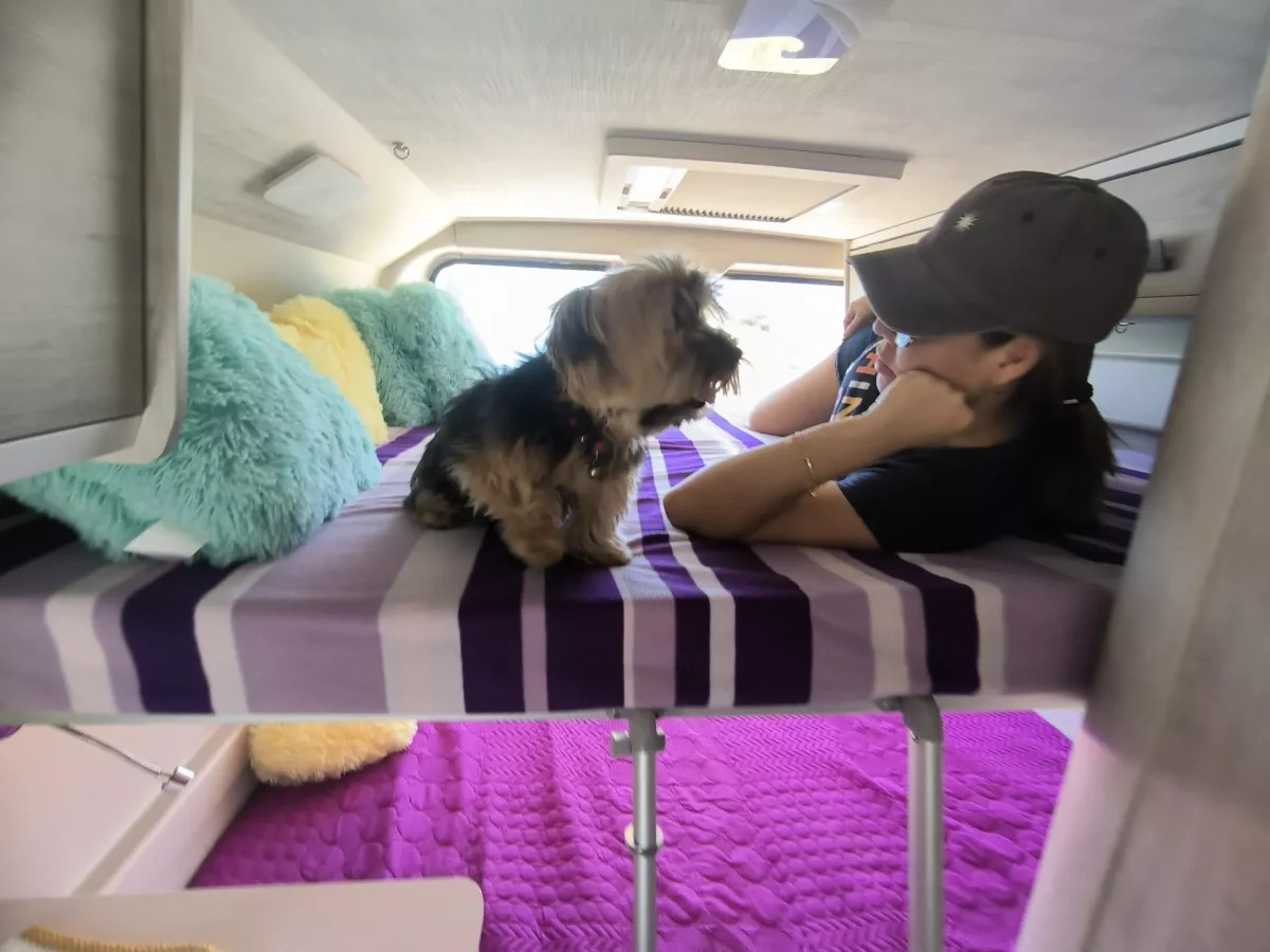 Camper de alquiler Roller Team Livingstone 5 - Imagen 9