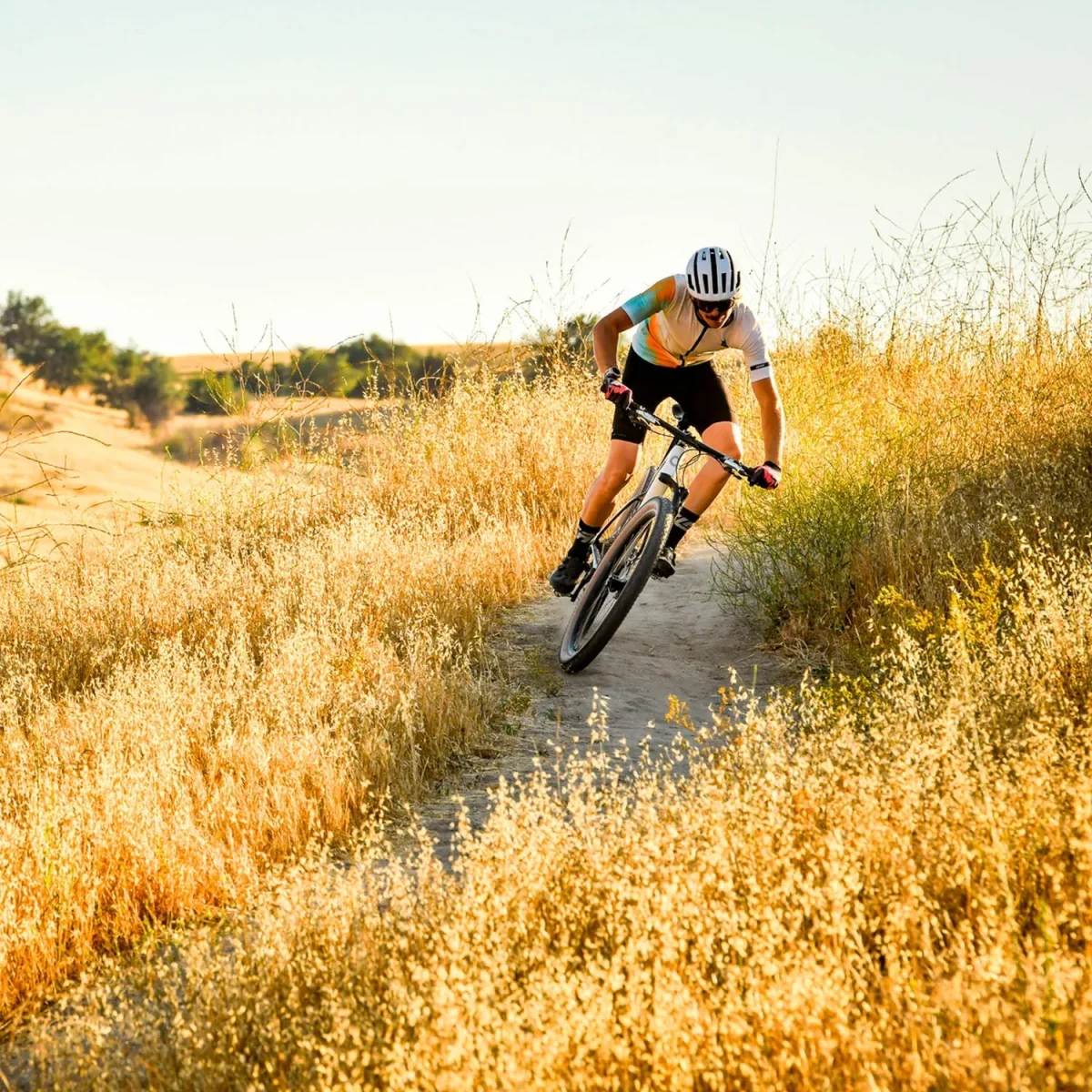 Maillot MTB Endurance 3.0 V26 - Imagen 4